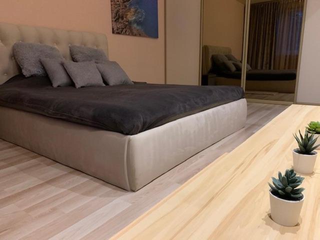 Oak Lounge Lux Apartment Riga Eksteriør bilde